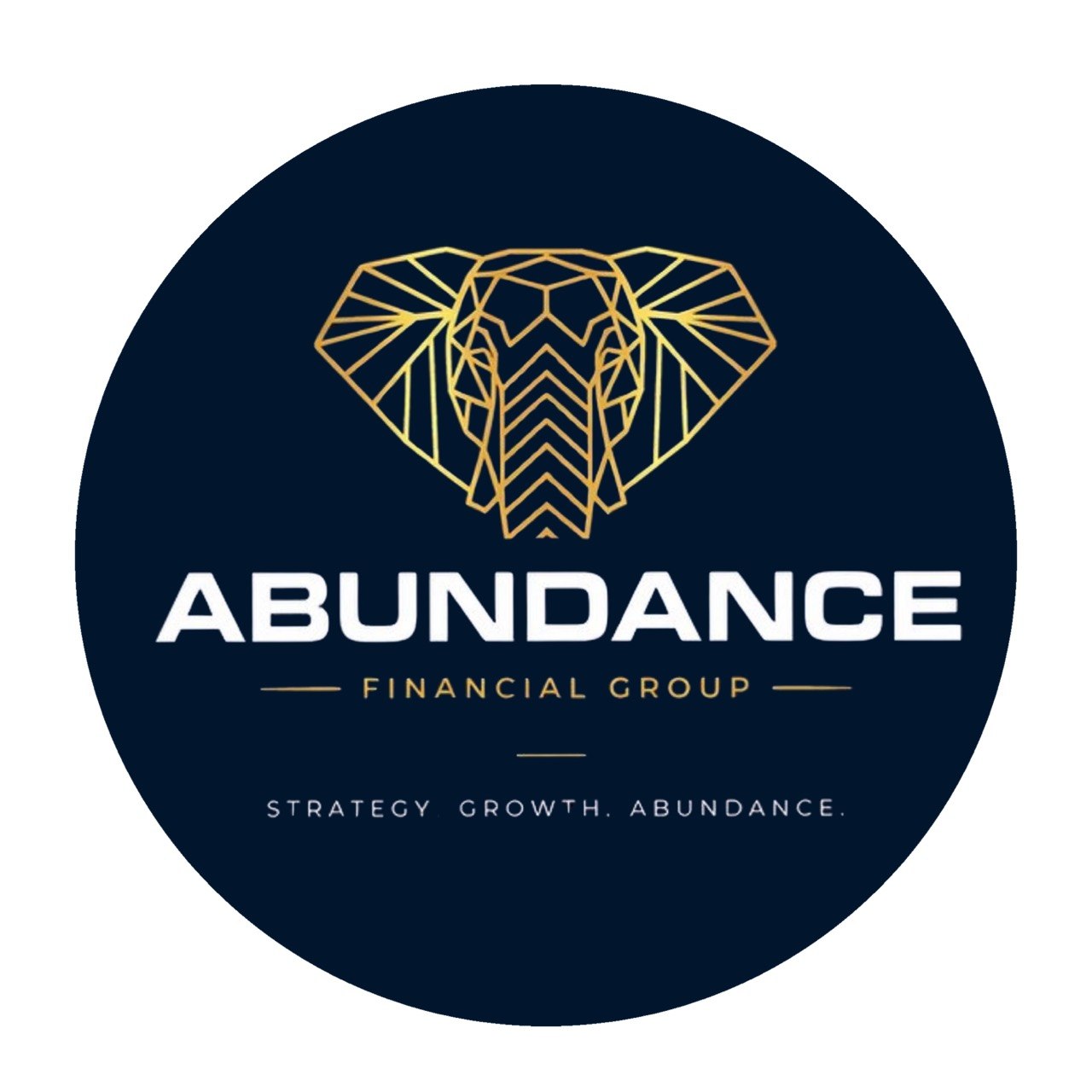 Abundance Financial Group